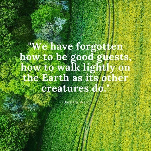 Walk lightly - Picture 2 of 2